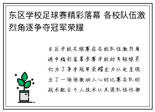 东区学校足球赛精彩落幕 各校队伍激烈角逐争夺冠军荣耀