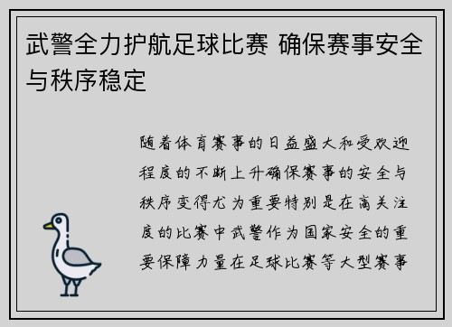 武警全力护航足球比赛 确保赛事安全与秩序稳定