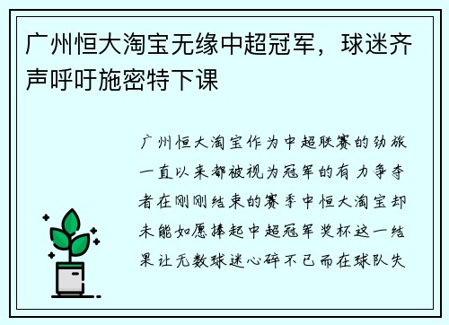 广州恒大淘宝无缘中超冠军，球迷齐声呼吁施密特下课