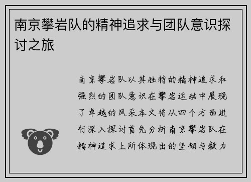 南京攀岩队的精神追求与团队意识探讨之旅
