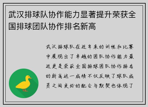 武汉排球队协作能力显著提升荣获全国排球团队协作排名新高